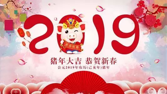 2019年属猪会遇见怎样的另一半 2019属猪