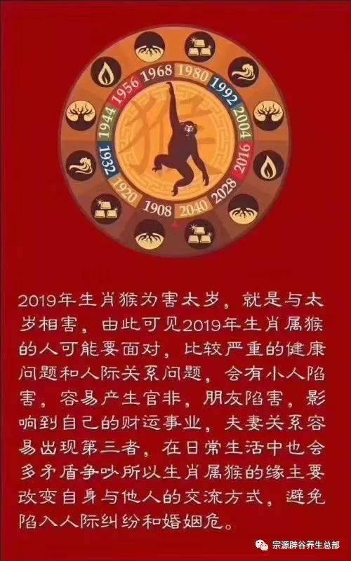 2019年生肖蛇婚姻爱情运势吉凶分析 生肖鼠2019年运势大全