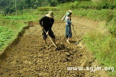 梦见父亲在田地中死了 梦见田地