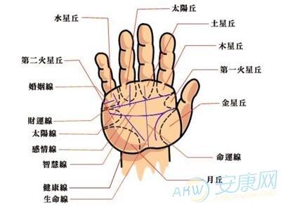 女性社会地位高的手相特征 如今的女性社会地位