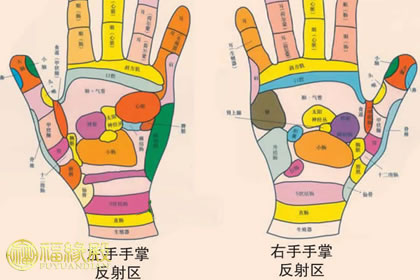 从手相特点来看个人的健康状况好坏 最好的手相