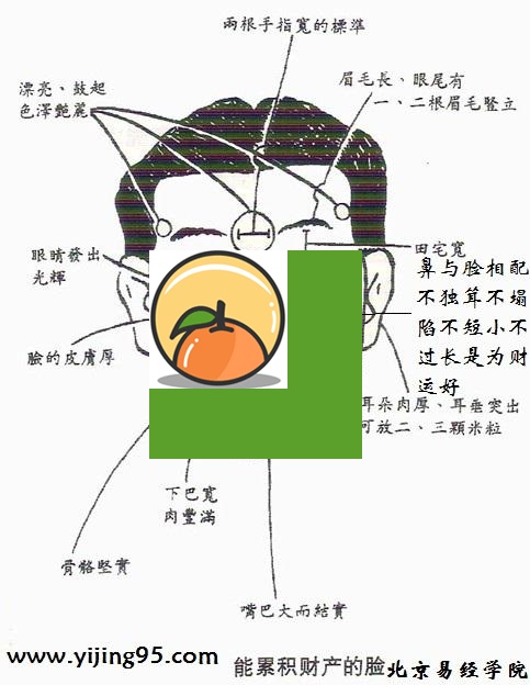 只想谈恋爱却不想结婚的面相 谈恋爱但不想结婚