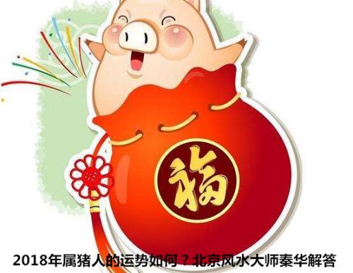 2018下半年生肖猪在哪些方面会挡不住的好运 好运挡不住