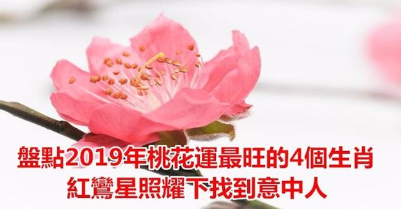 2019年生肖兔桃花运哪几个月最旺 2019桃花运