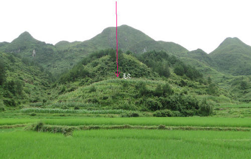 如何看工廠的風水 墓地風水