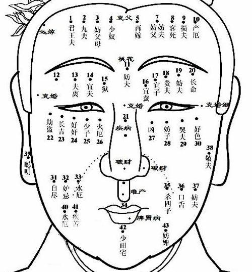 男人左眉尾有痣图解图片