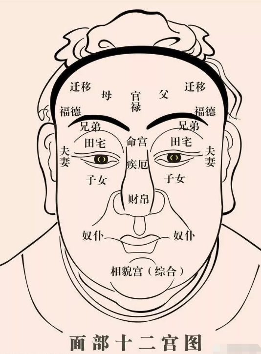 眉毛面相图解大全男子图片