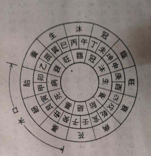 温州哪里八字合婚