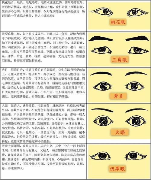 男生眼型的分类图解图片
