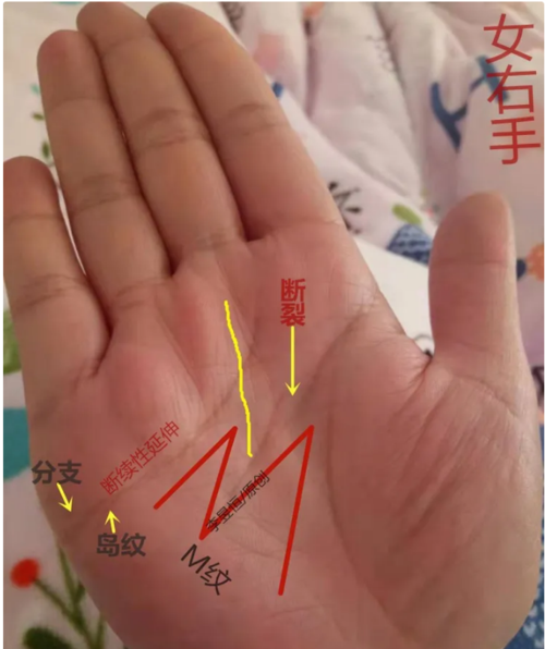 手相m纹完整解析男人m字纹手相好不好