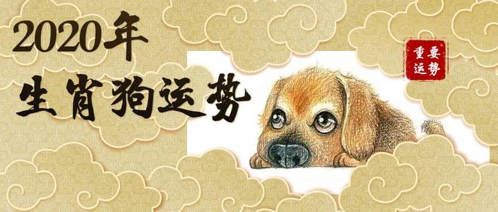 牛or猪or狗人寿图片