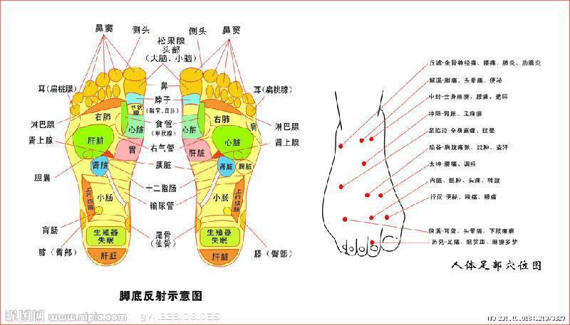 脚趾看命运图 图解图片