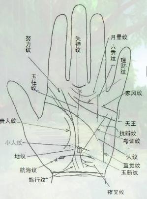 爪字手纹图片