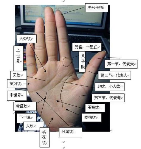 玉柱线分叉图解图片