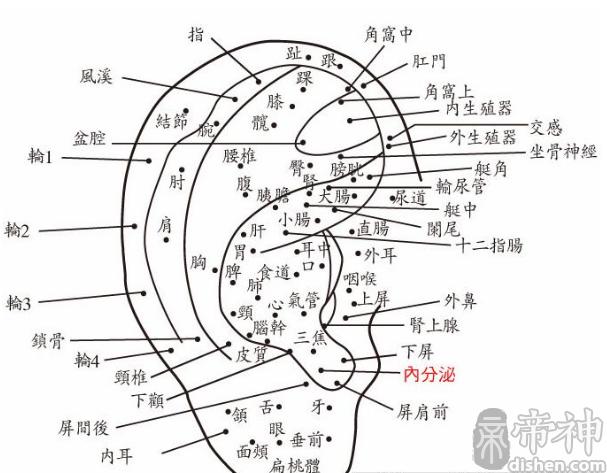 什么样的耳朵有福图解图片